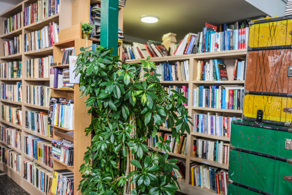 ΔΥΠΑ: Ενεργοποιήθηκε το πρόγραμμα επιταγών αγοράς βιβλίων – Οι οριστικοί πίνακες δικαιούχουν