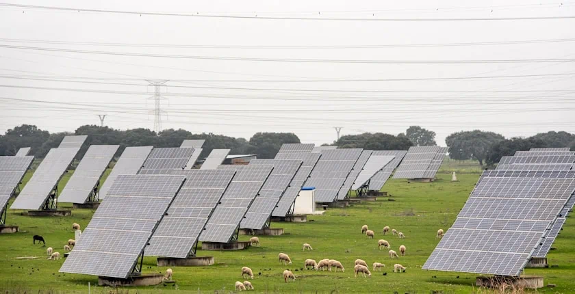 Albania-allows-agrisolar-wind-power-plants-on-pastureland