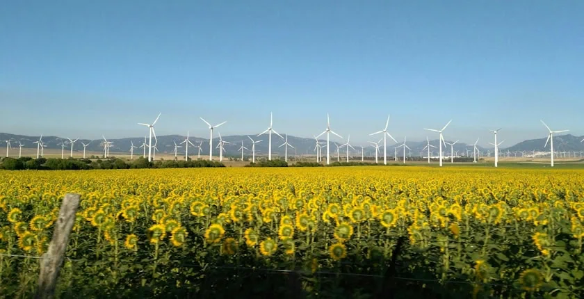 RenX-Italia-120-MW-wind-power-Albania