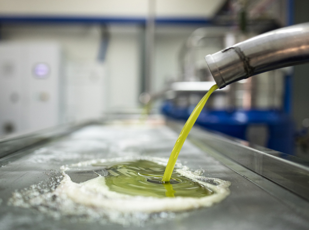 Ελαιόλαδο: Πτώση τιμών το φθινόπωρο και αβεβαιότητα για τη σοδειά