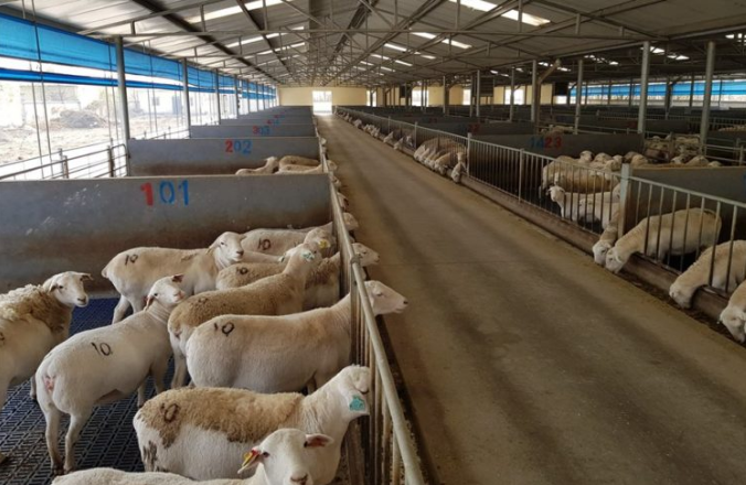 Σάκης Λουκμακιάς στον Alpha Radio 98