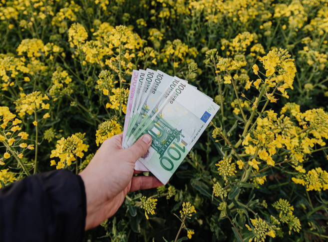 Αναπτυξιακός Νόμος: Έως 75% ενίσχυση για μικρές επιχειρήσεις – Άνοιξαν οι αιτήσεις για μεταποίηση και μεγάλες επενδύσεις