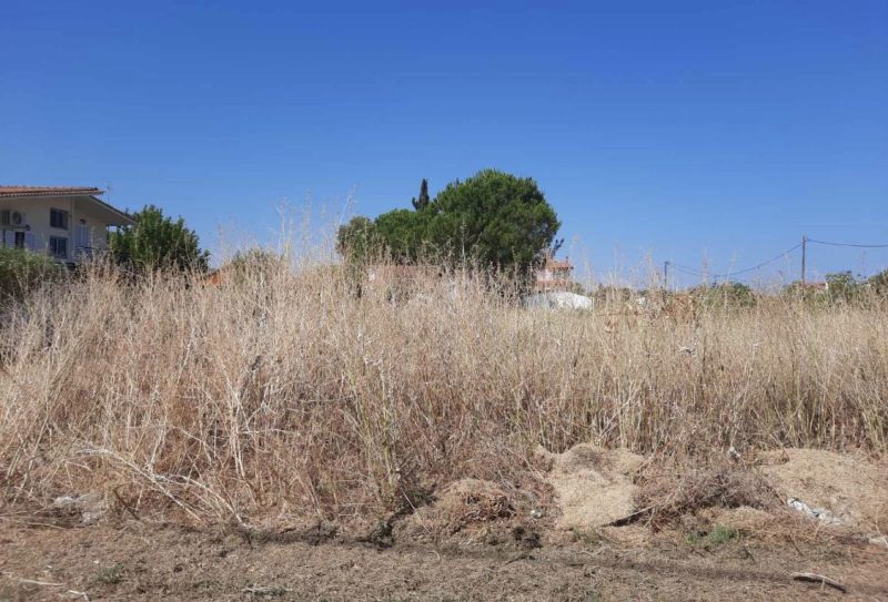 Τελευταία ευκαιρία: Μέχρι 15 Ιουνίου οι δηλώσεις για τα ακαθάριστα οικόπεδα – Πρόστιμα έως 54.000 ευρώ και φυλάκιση